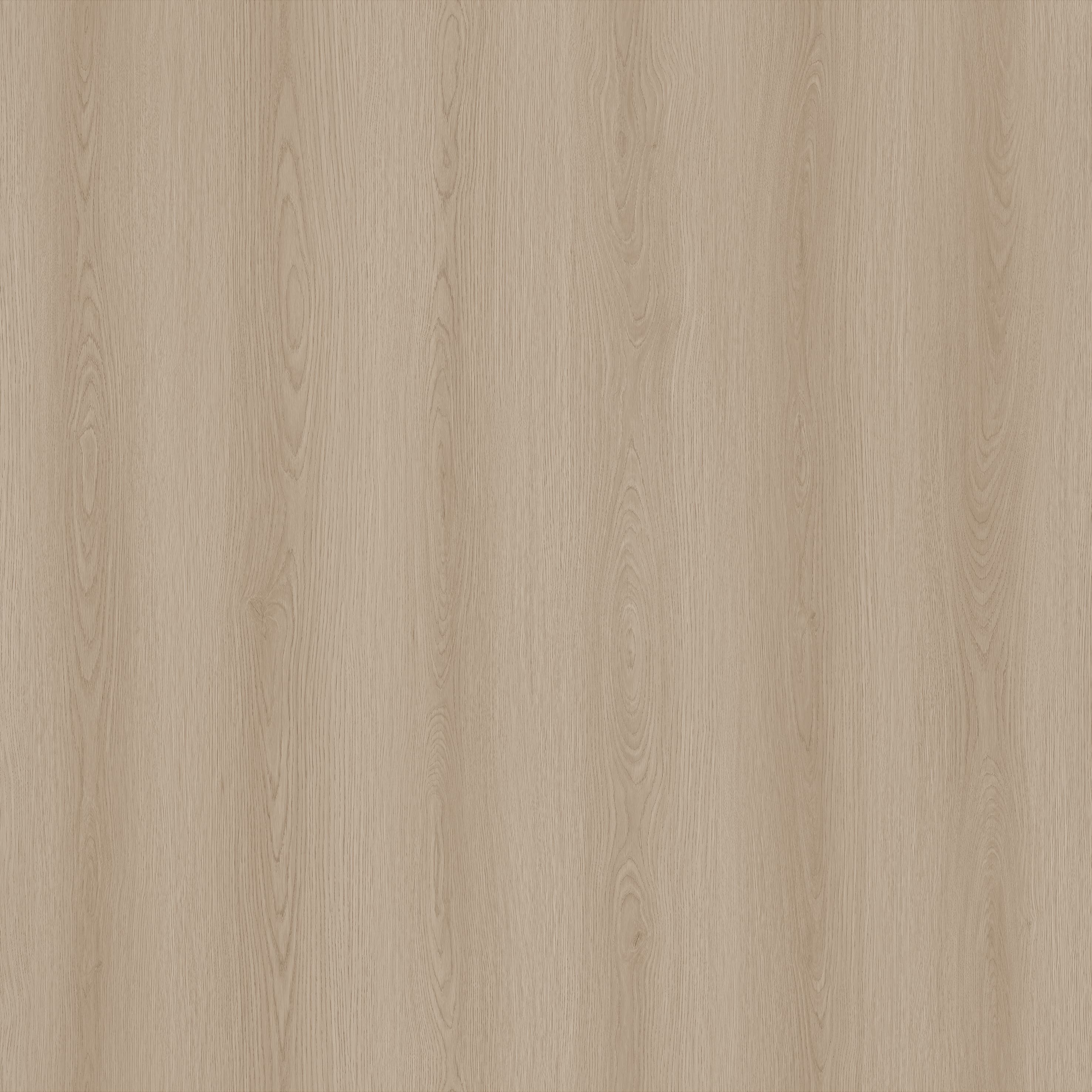 Eggmolt Oak_Floor,Oak,Straight Grain,Chevron