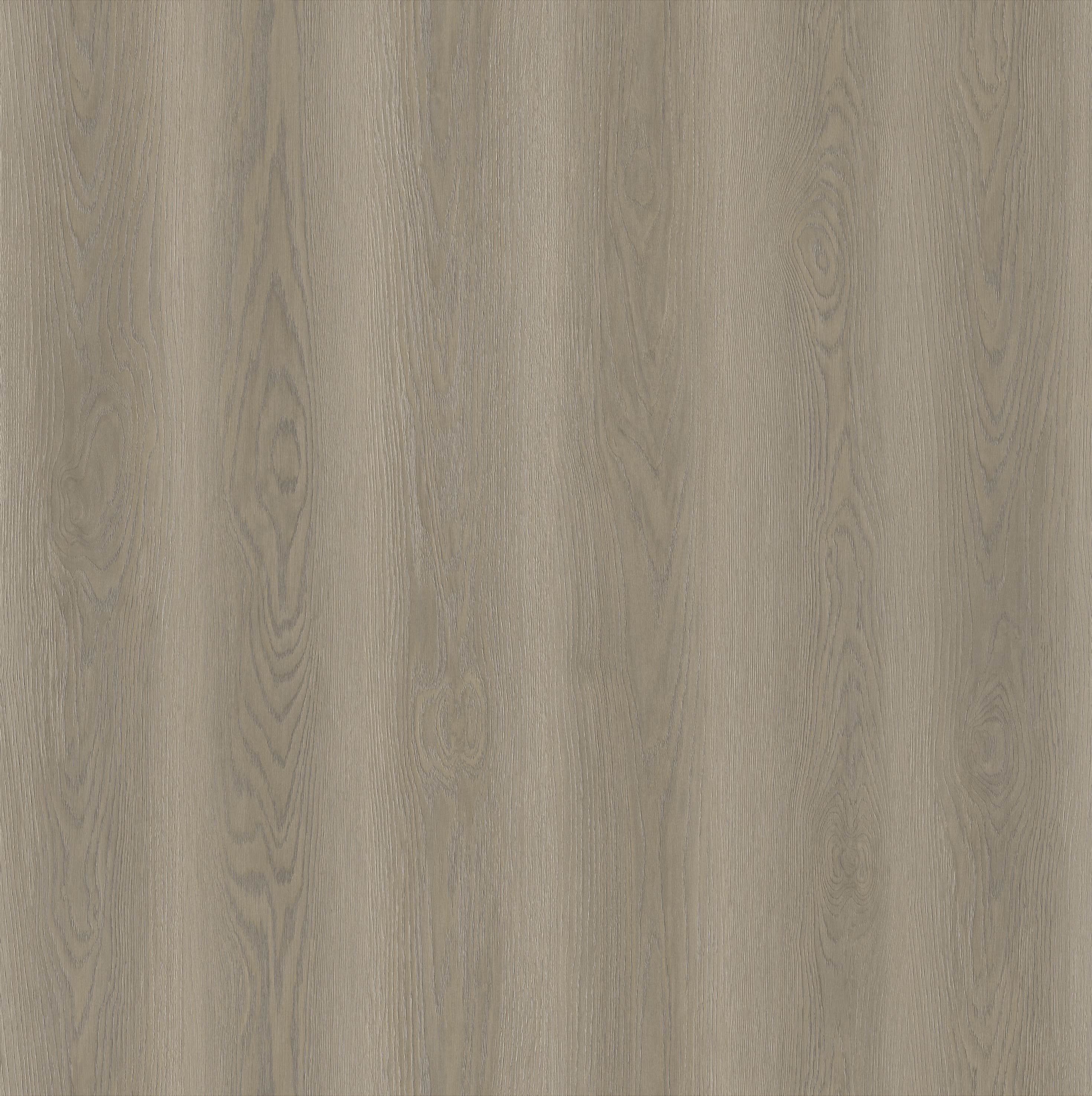 Aixen Oak_Floor,Oak,Straight Grain,Chevron