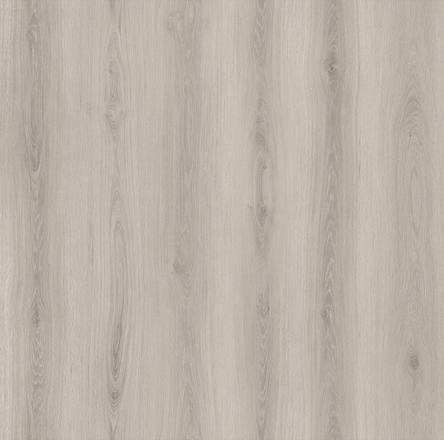 Raymond oak_Floor,Oak,Straight Grain,Chevron