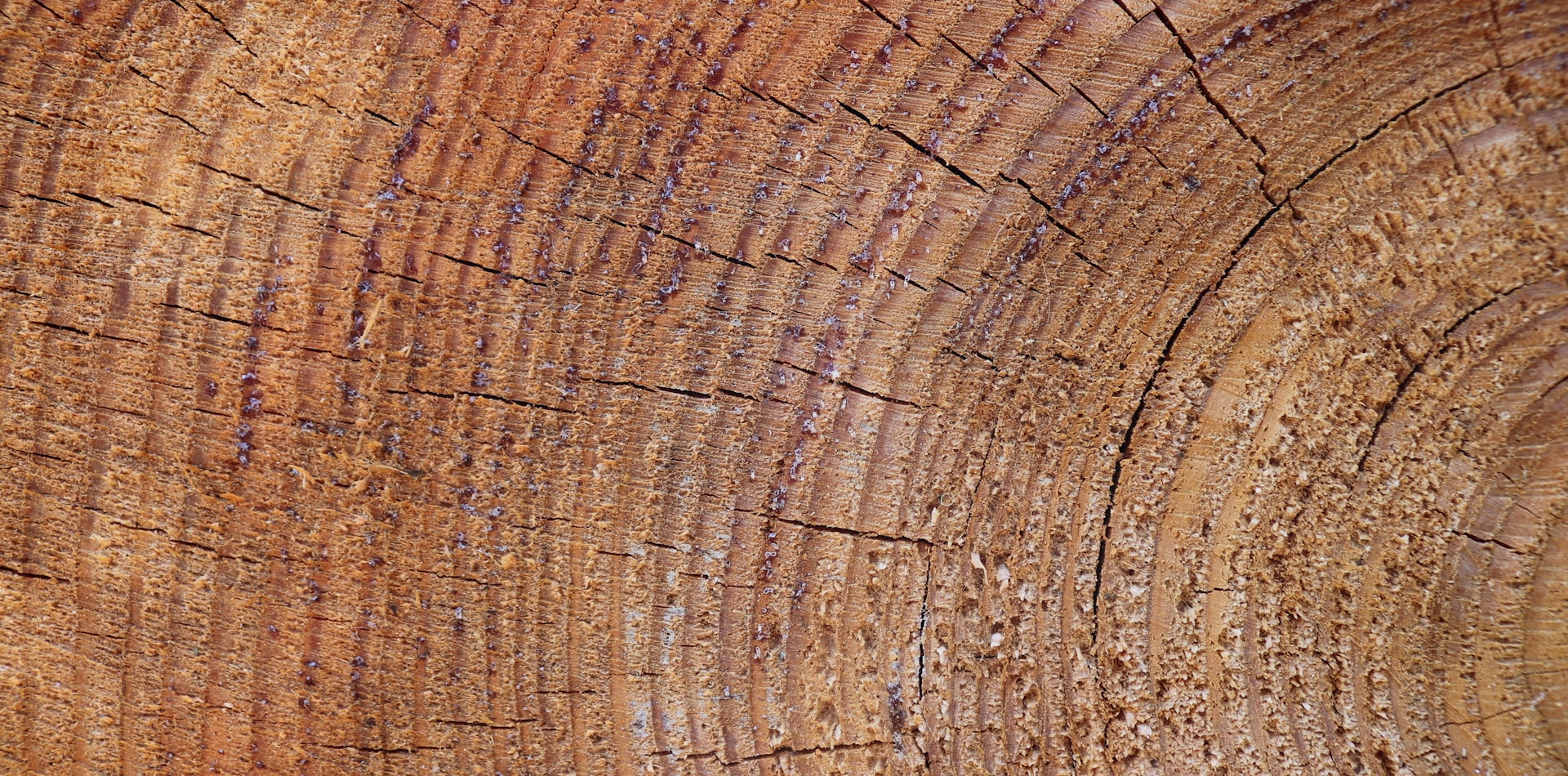 Larger Repeat, More Natural Grain