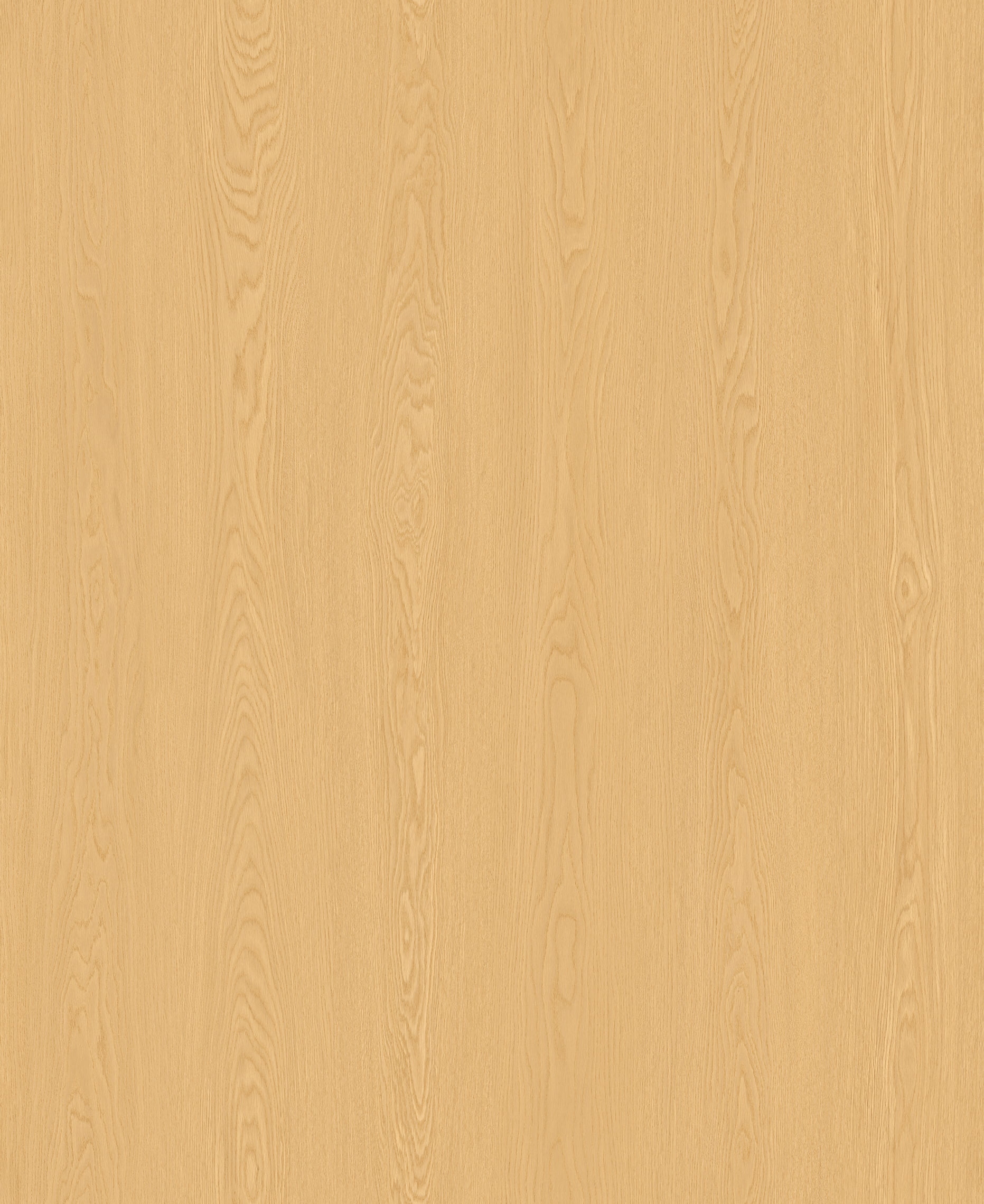 Dolomites Oak_Floor,Oak,Straight Grain,Chevron