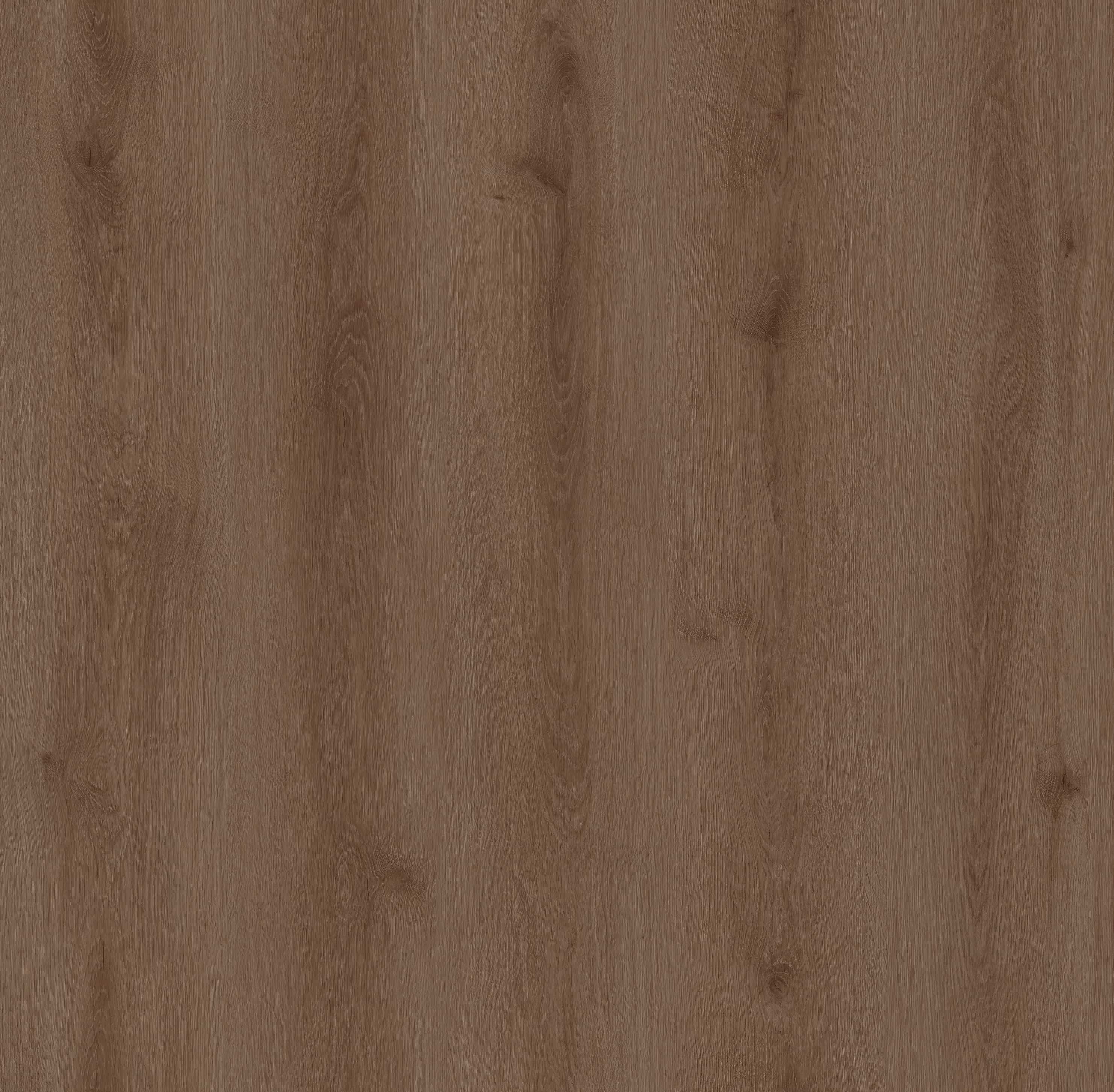 Queensland Oak_Floor,Oak,Straight Grain,Chevron