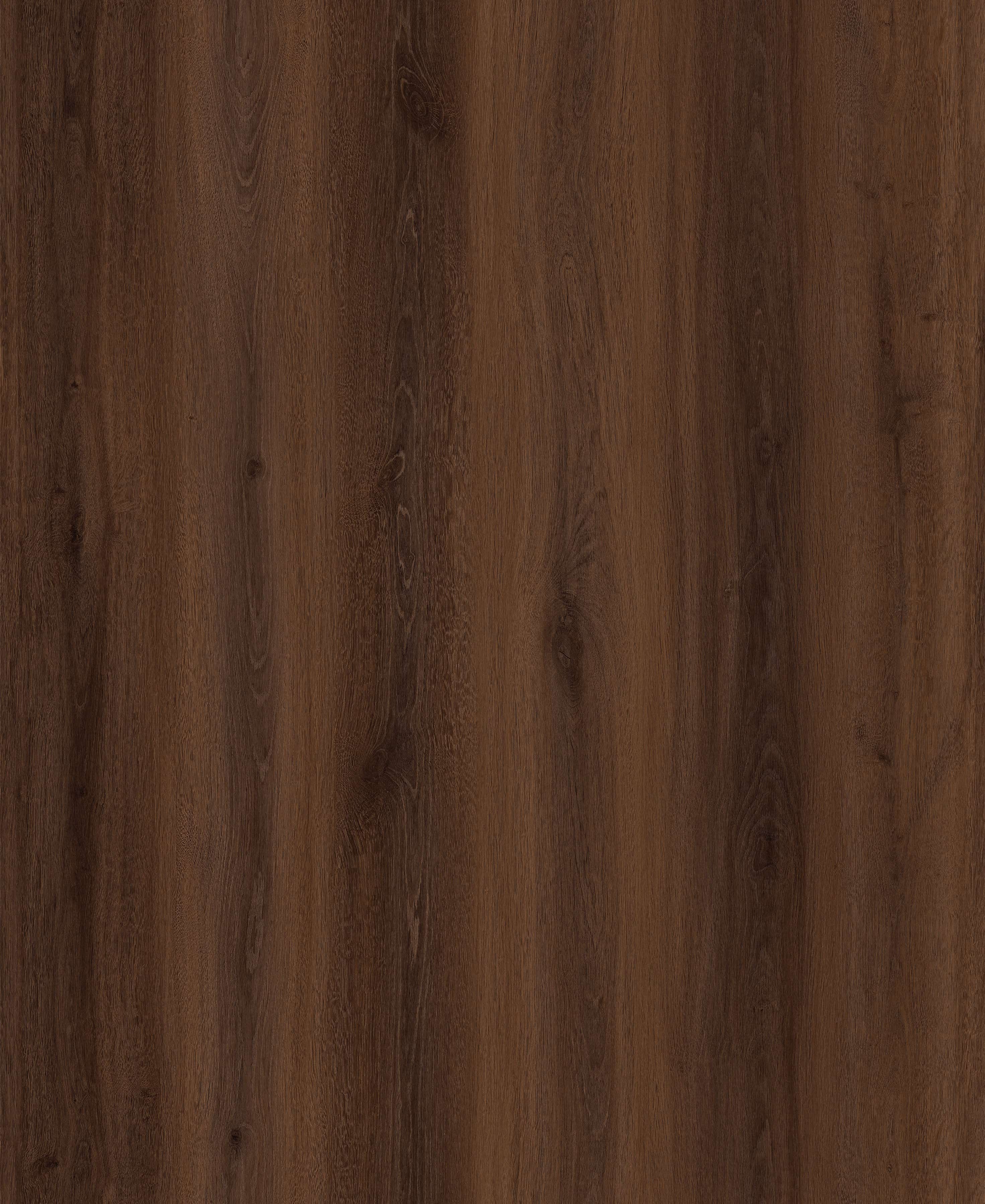 Rajan Oak
