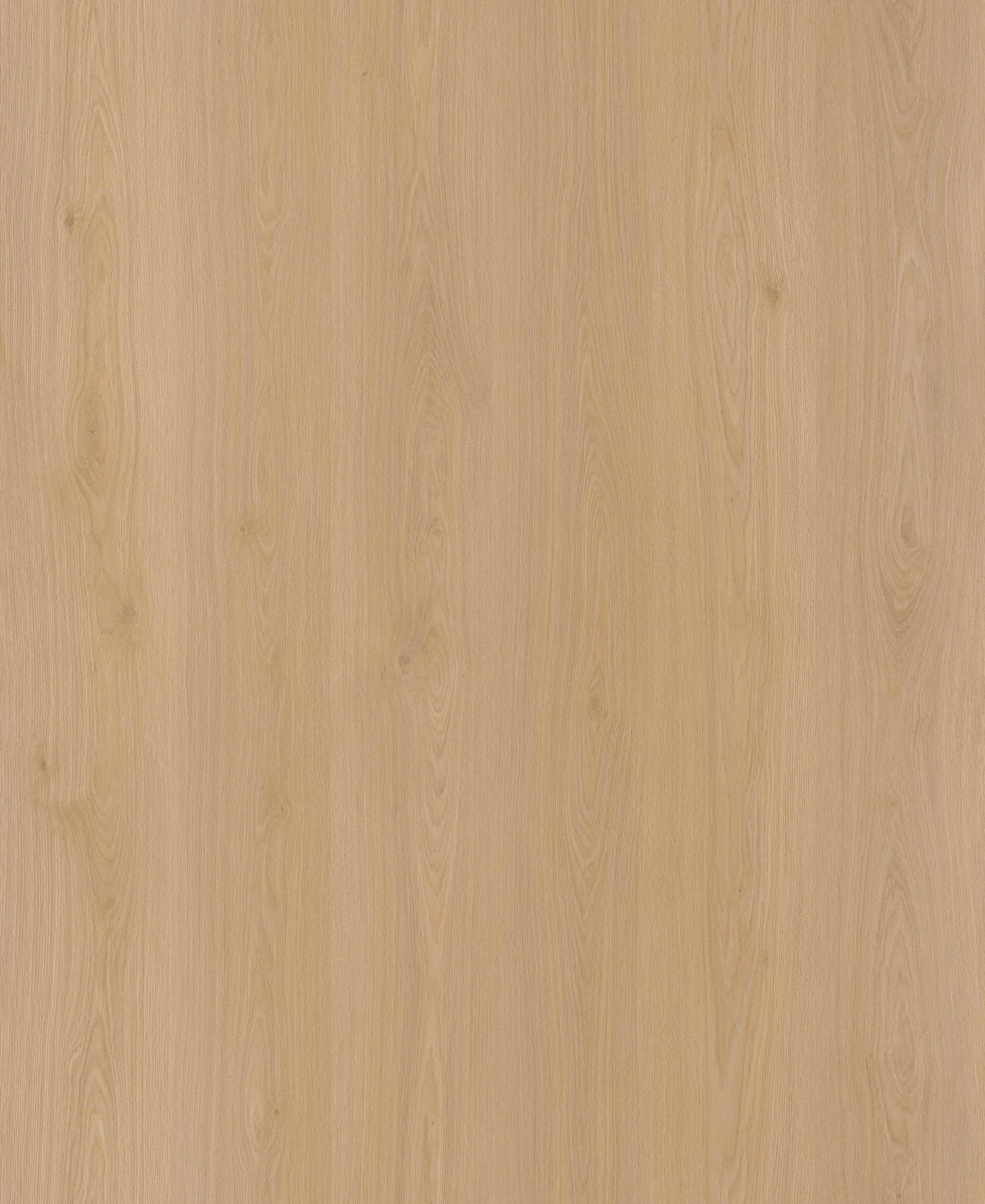 Warm Mist Oak_Floor,Oak,Straight Grain,Chevron