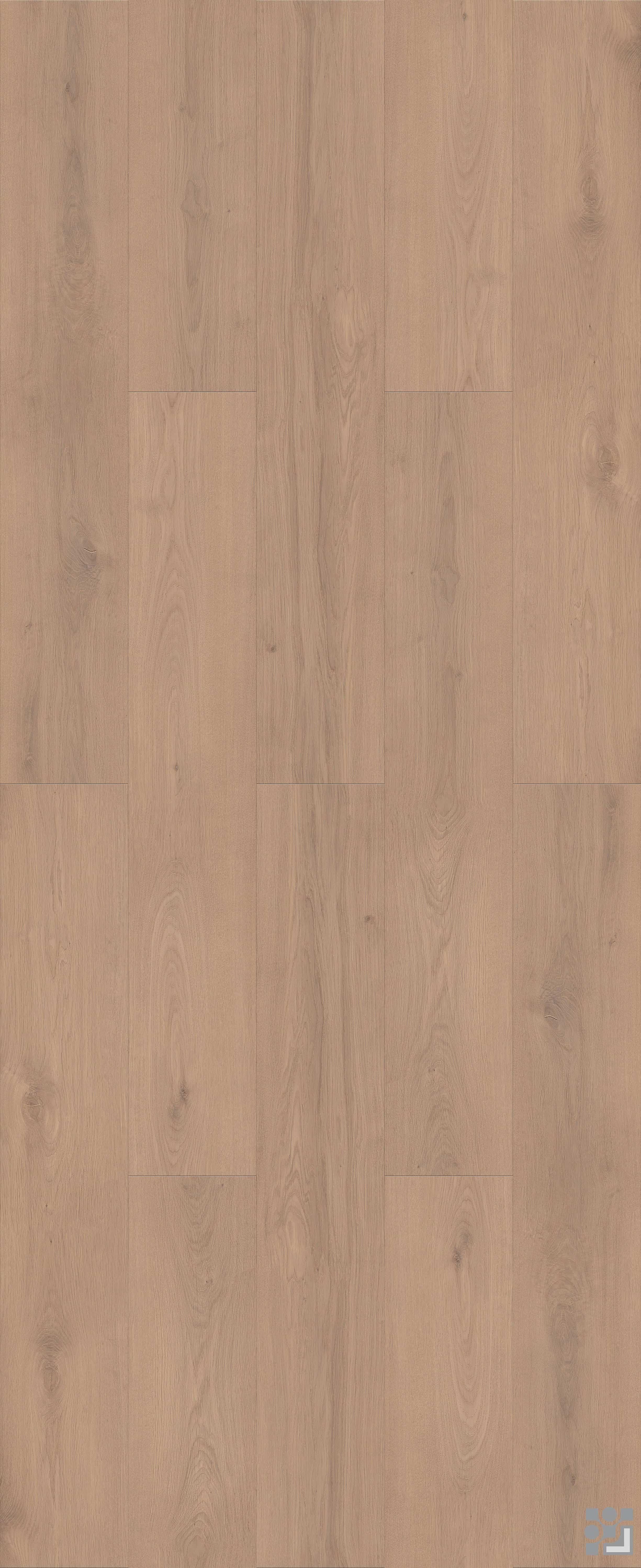 Quebec Oak flooring decorative paper with fine straight grain, subtle cathedral patterns and sparse natural knots