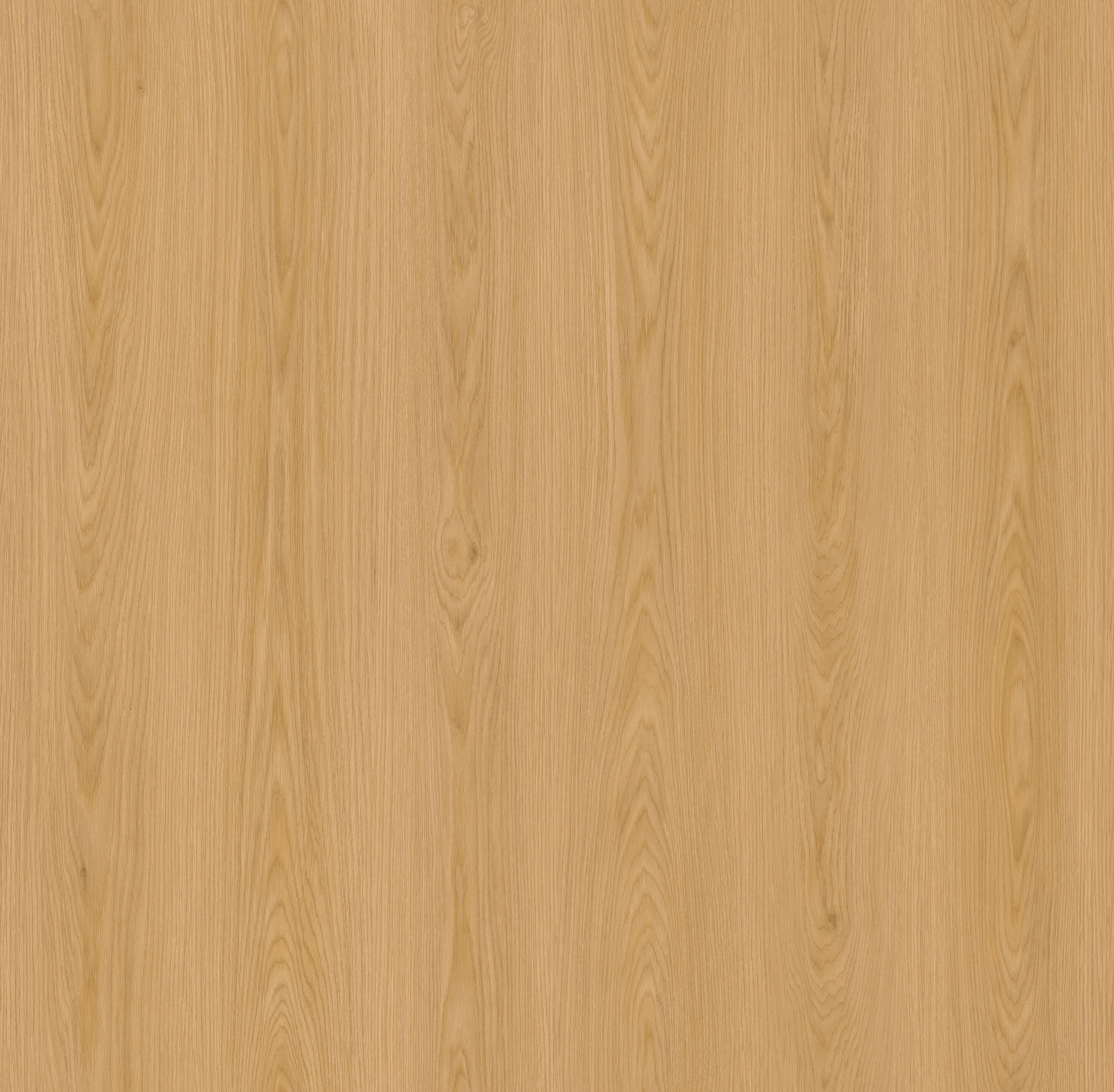 Marigold Oak_Floor,Oak,Straight Grain,Chevron