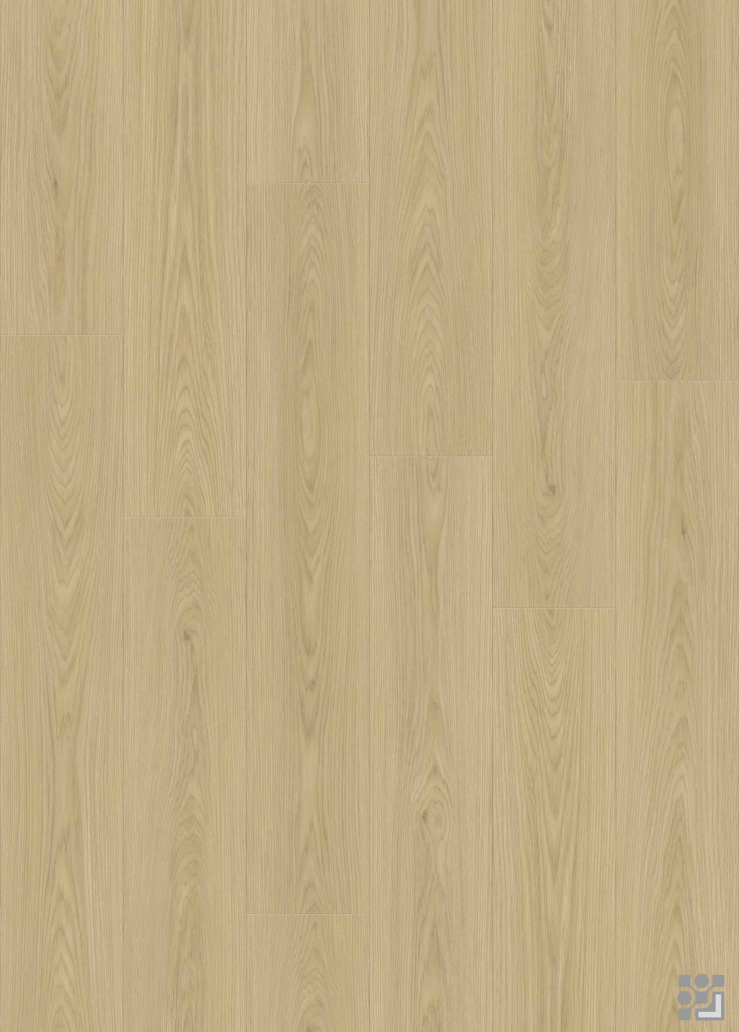 Marigold Oak flooring decorative paper with fine straight grain, elongated cathedral patterns and sparse natural knots-10