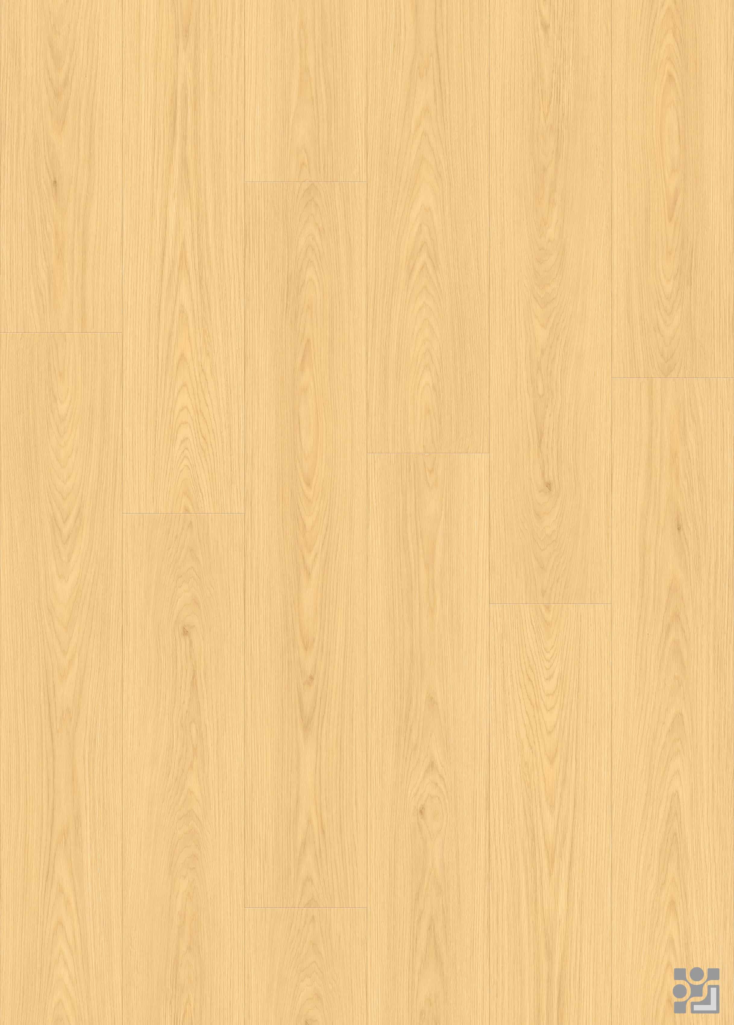 Marigold Oak flooring decorative paper with fine straight grain, elongated cathedral patterns and sparse natural knots-1
