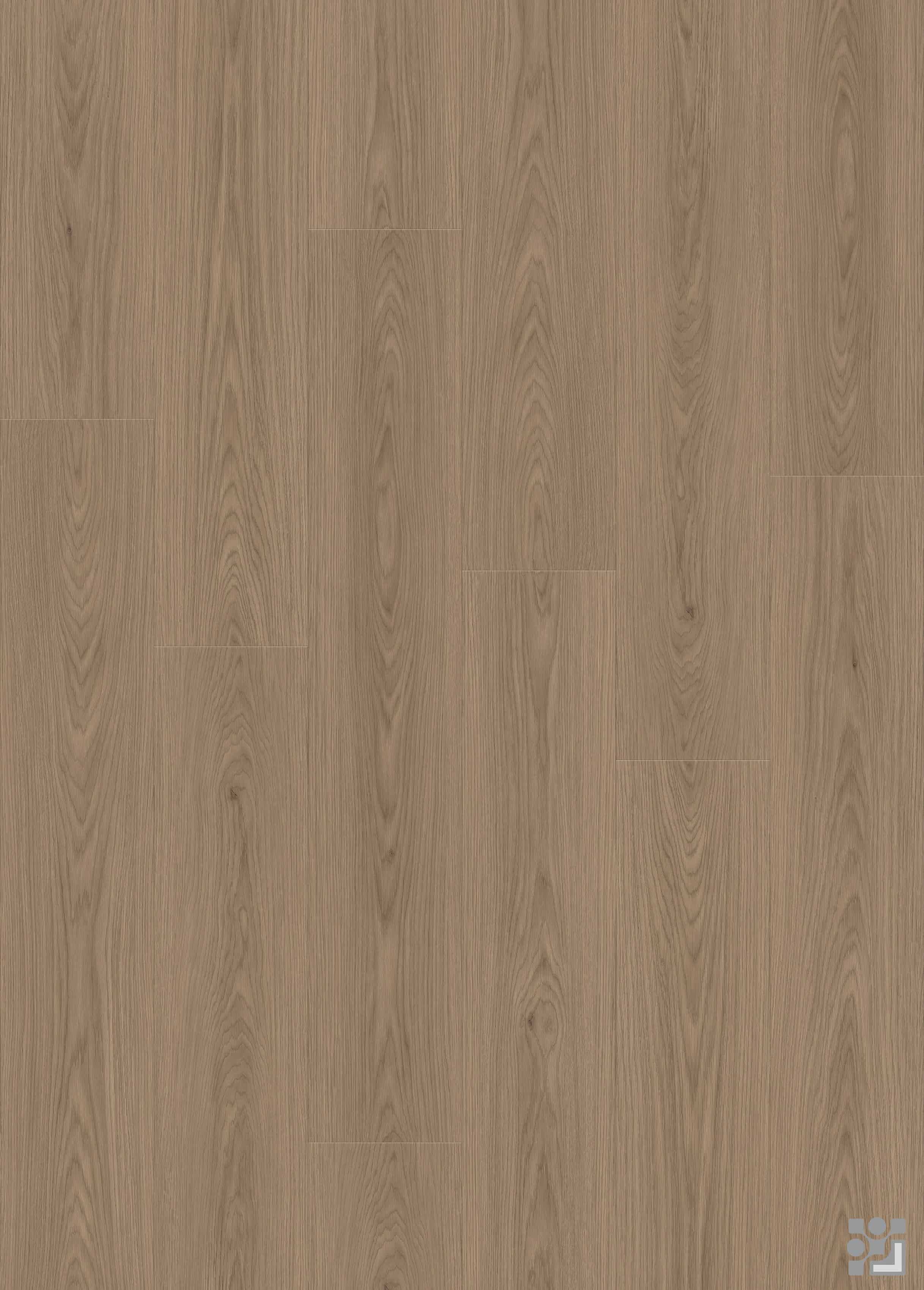 Marigold Oak flooring decorative paper with fine straight grain, elongated cathedral patterns and sparse natural knots-5