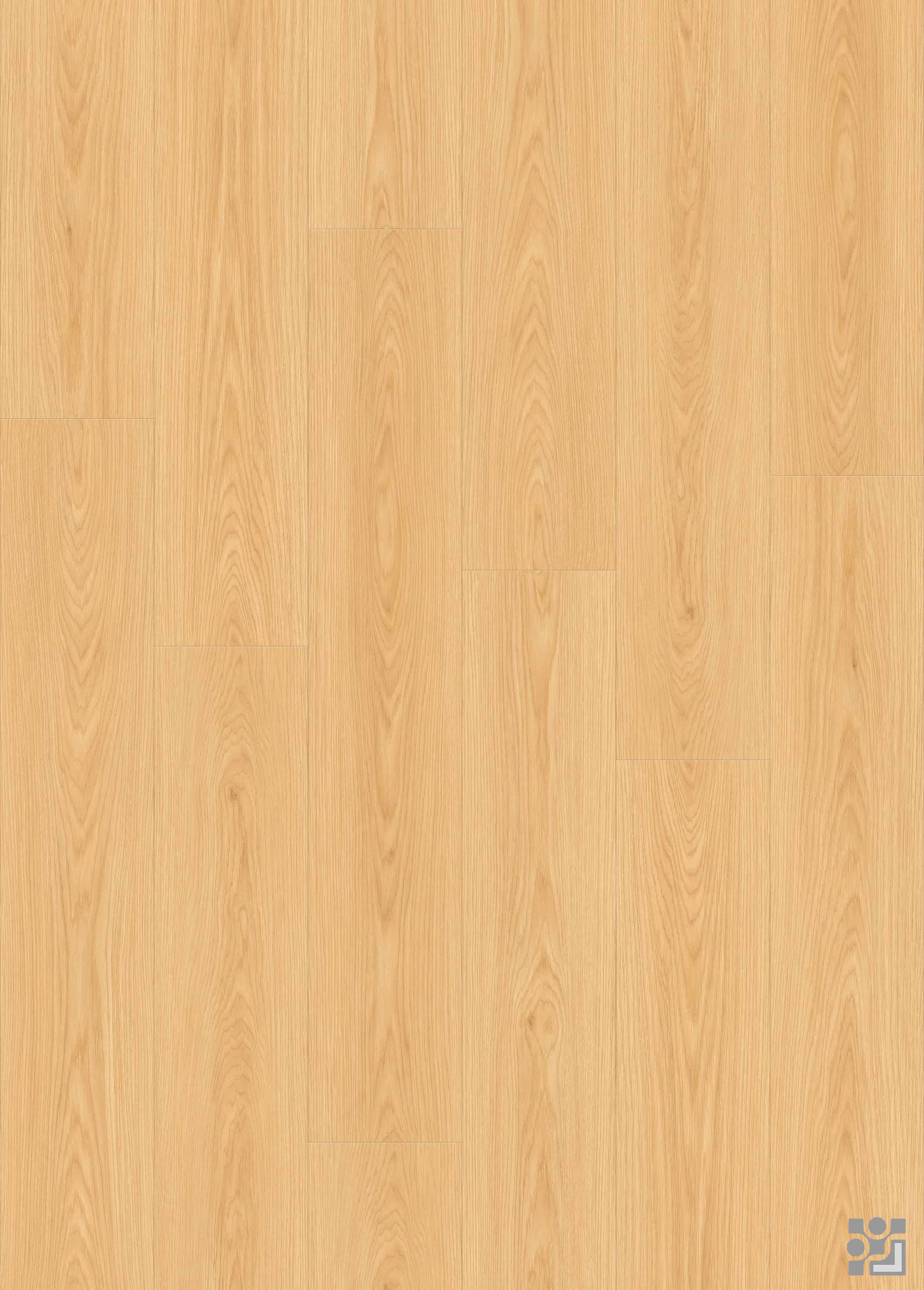 Marigold Oak flooring decorative paper with fine straight grain, elongated cathedral patterns and sparse natural knots-4