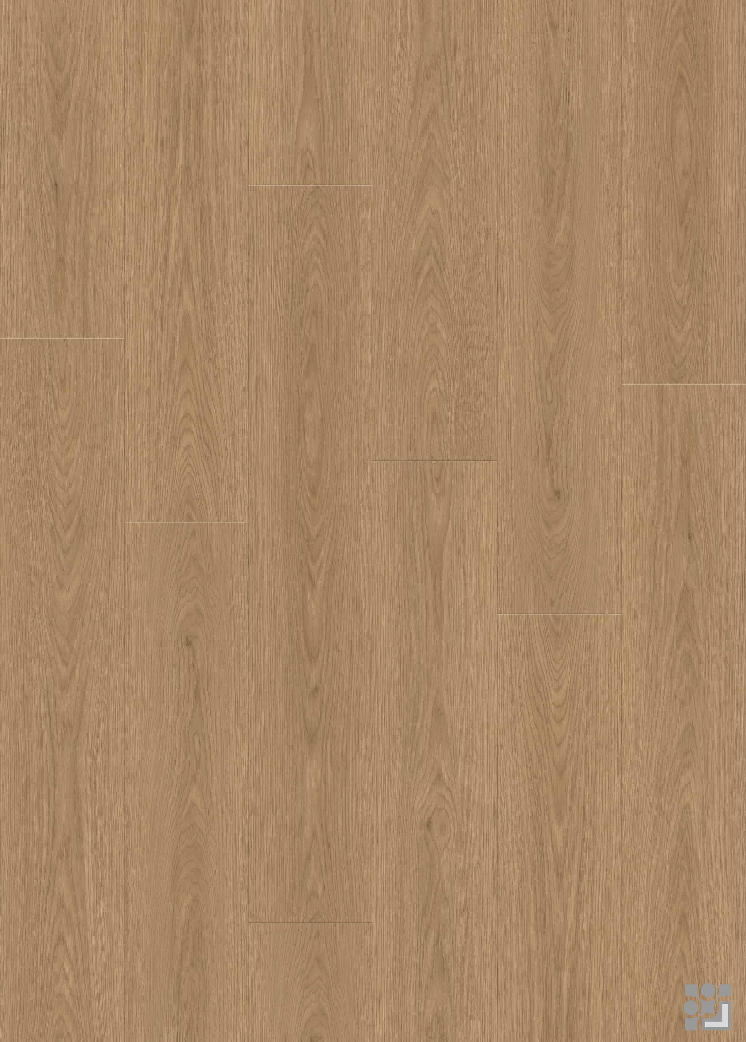 Marigold Oak flooring decorative paper with fine straight grain, elongated cathedral patterns and sparse natural knots-6