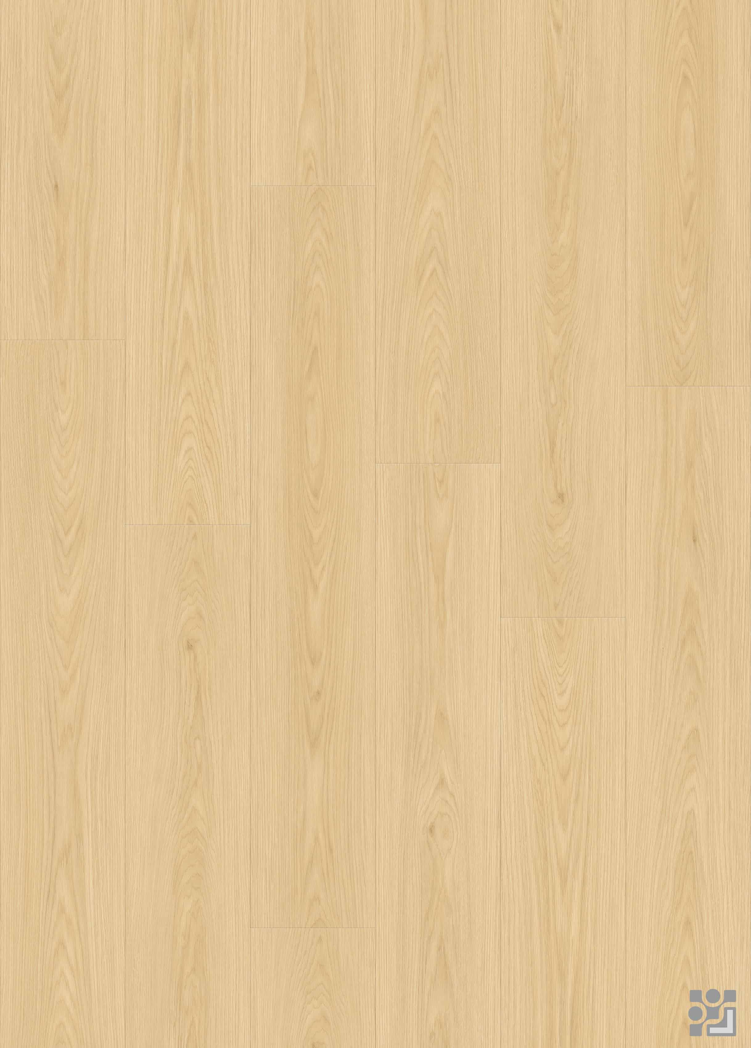 Marigold Oak flooring decorative paper with fine straight grain, elongated cathedral patterns and sparse natural knots-11