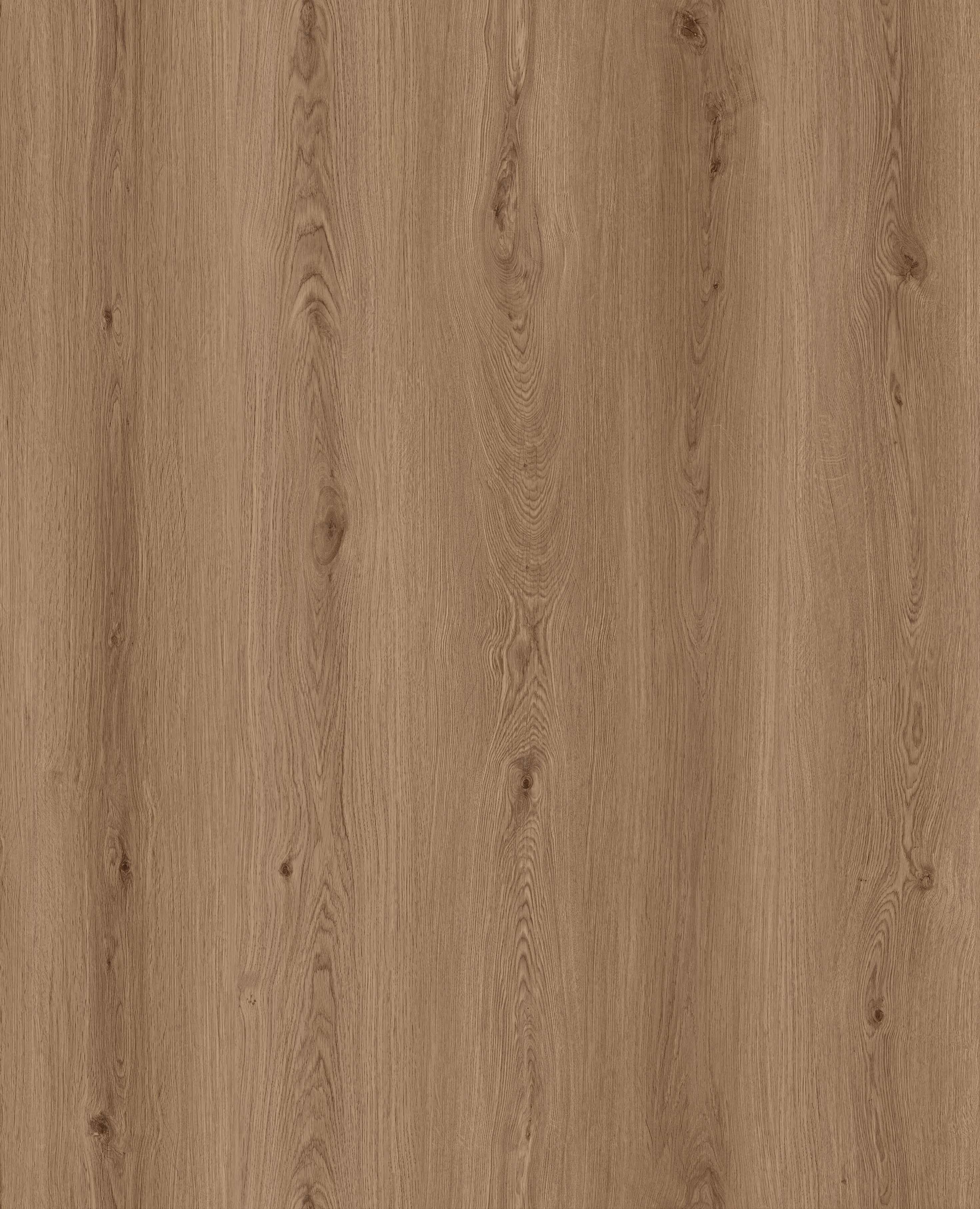 Arden Oak_Floor,Oak,Straight Grain,Chevron