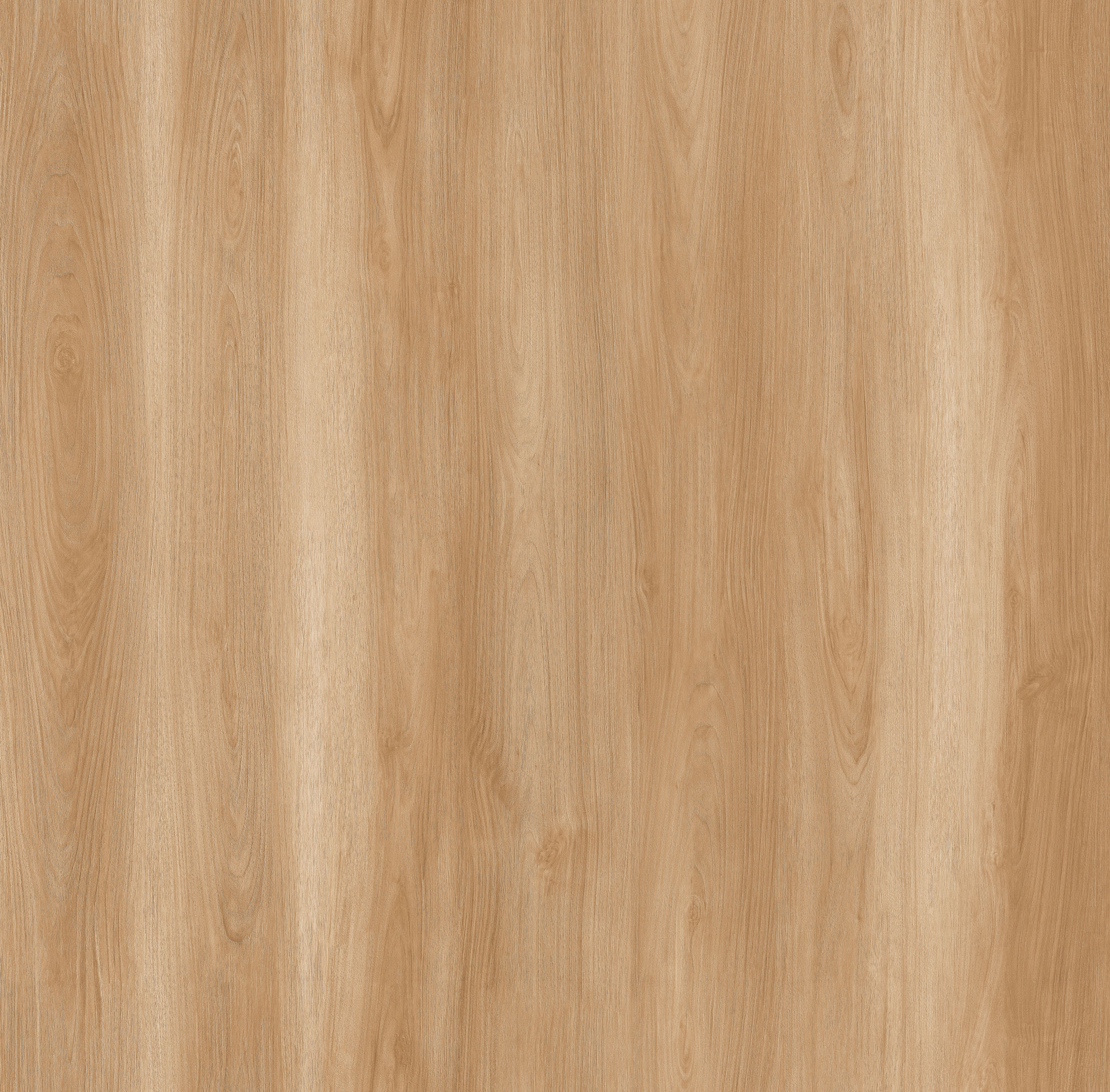 Salamanca Oak_Floor,Oak,Straight Grain,Plank 1230mm