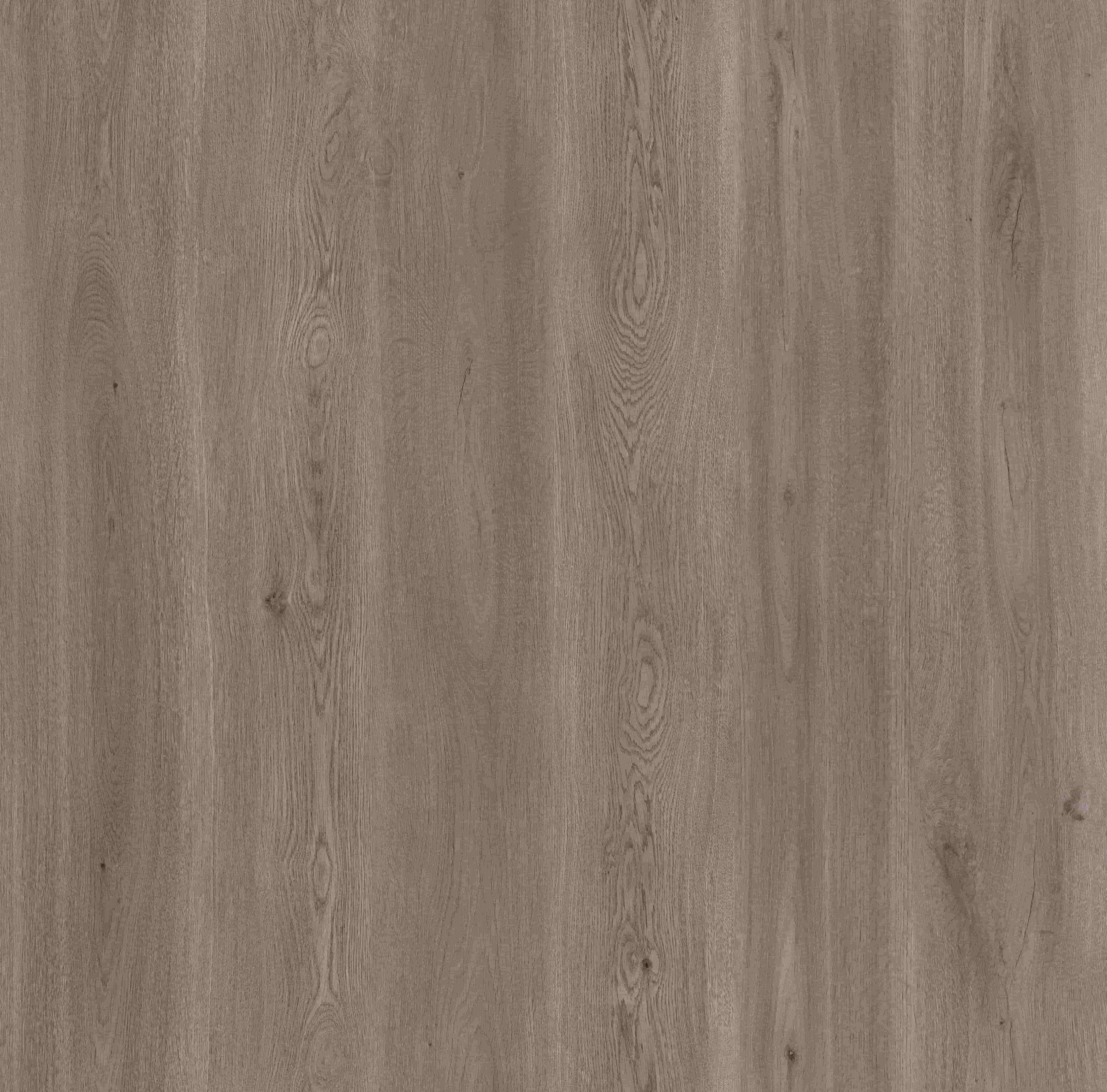 Zermatt Oak_Floor,Oak,Straight Grain,Plank 1230mm
