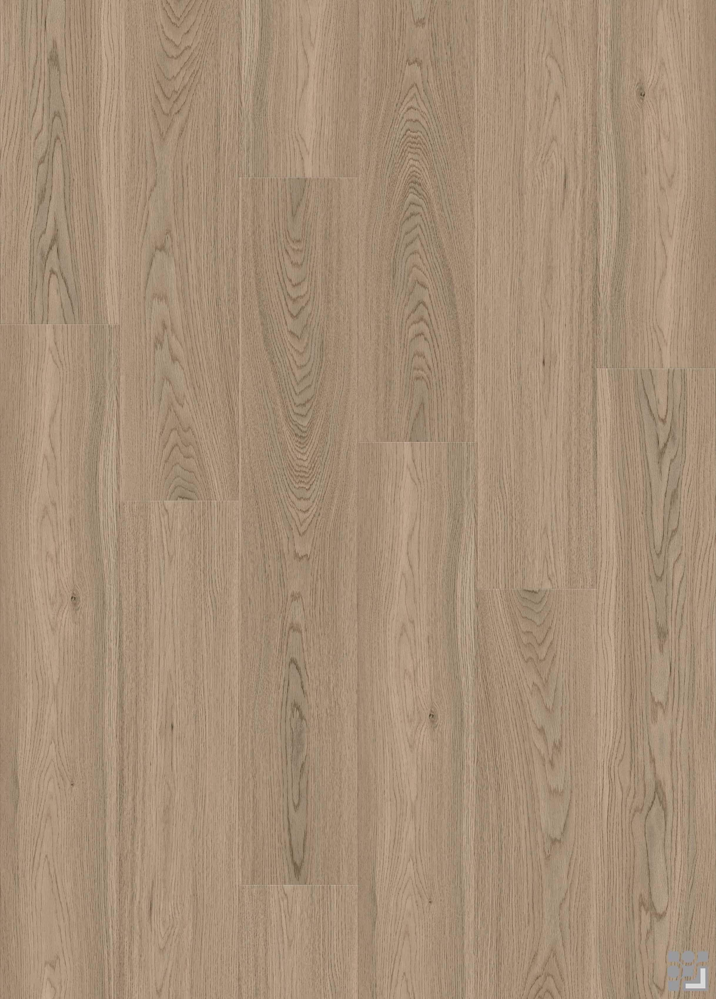 Tolstoy Oak neutral oak flooring with soft grey-brown tones and distinctive natural wood grain