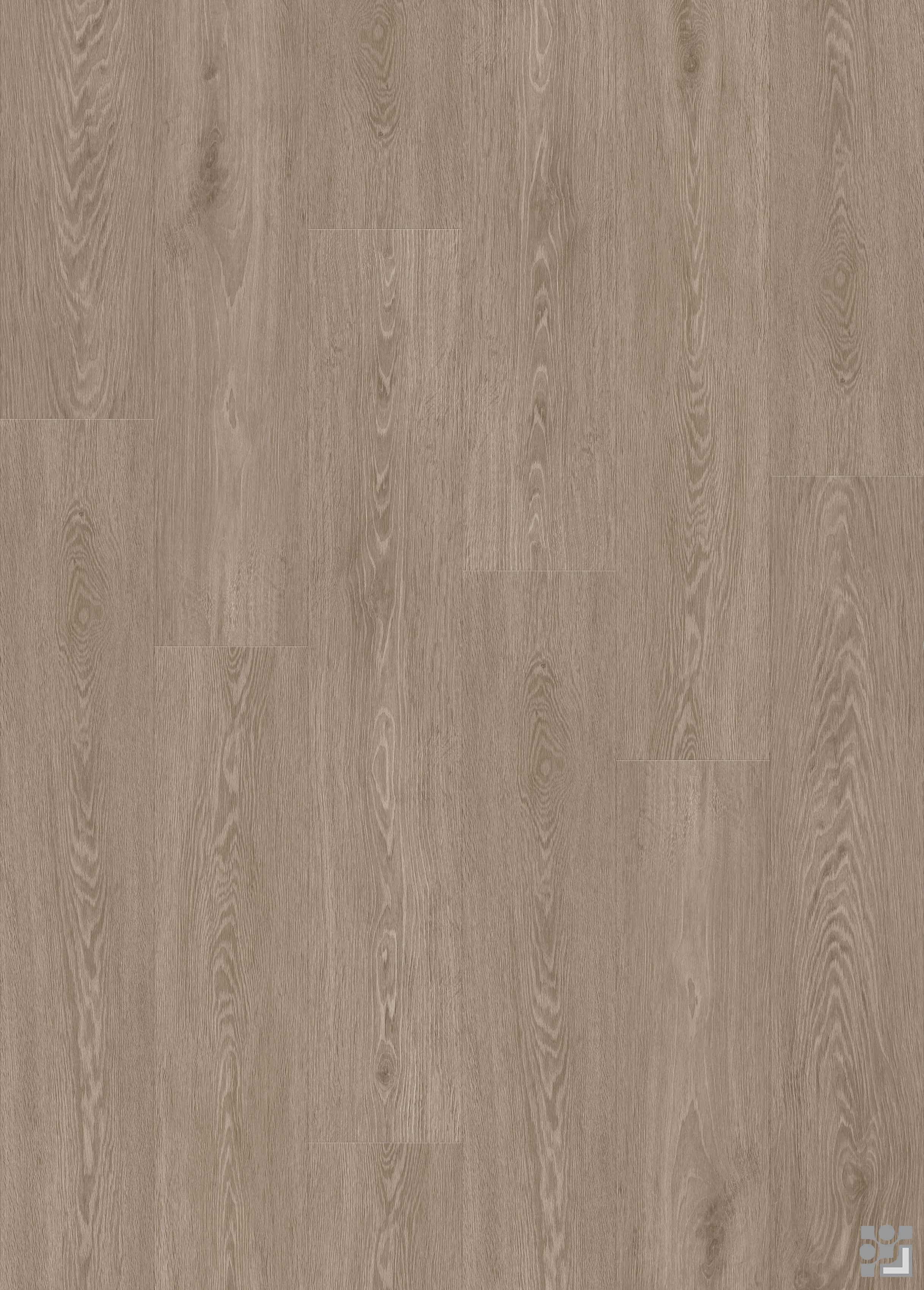 Jingzhi Oak greige oak flooring with soft grey-brown tones and natural wood grain
