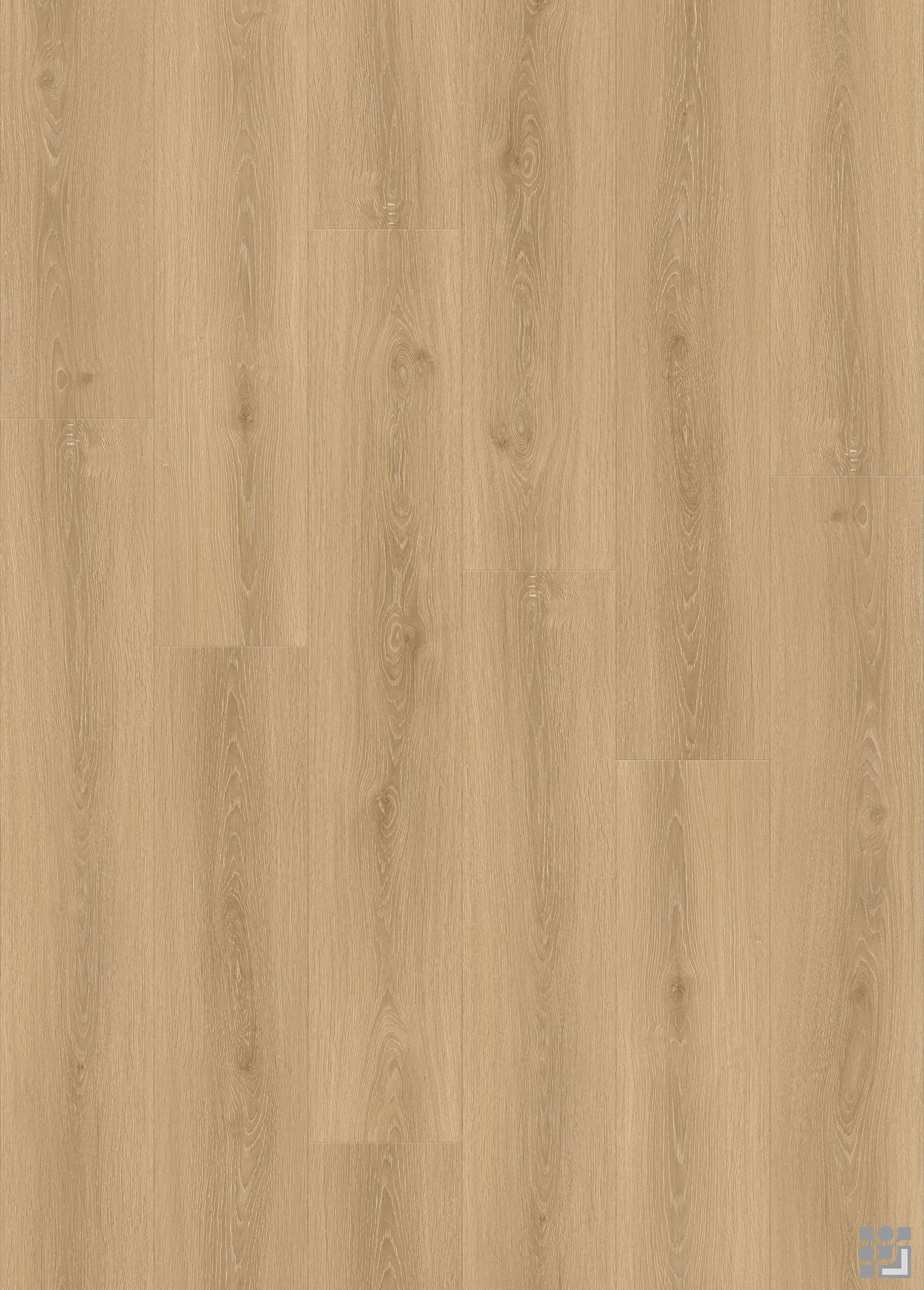 Cool taupe-grey Austen Oak flooring decorative paper with fine linear grain, elongated cathedral figures and subtle natural knots
