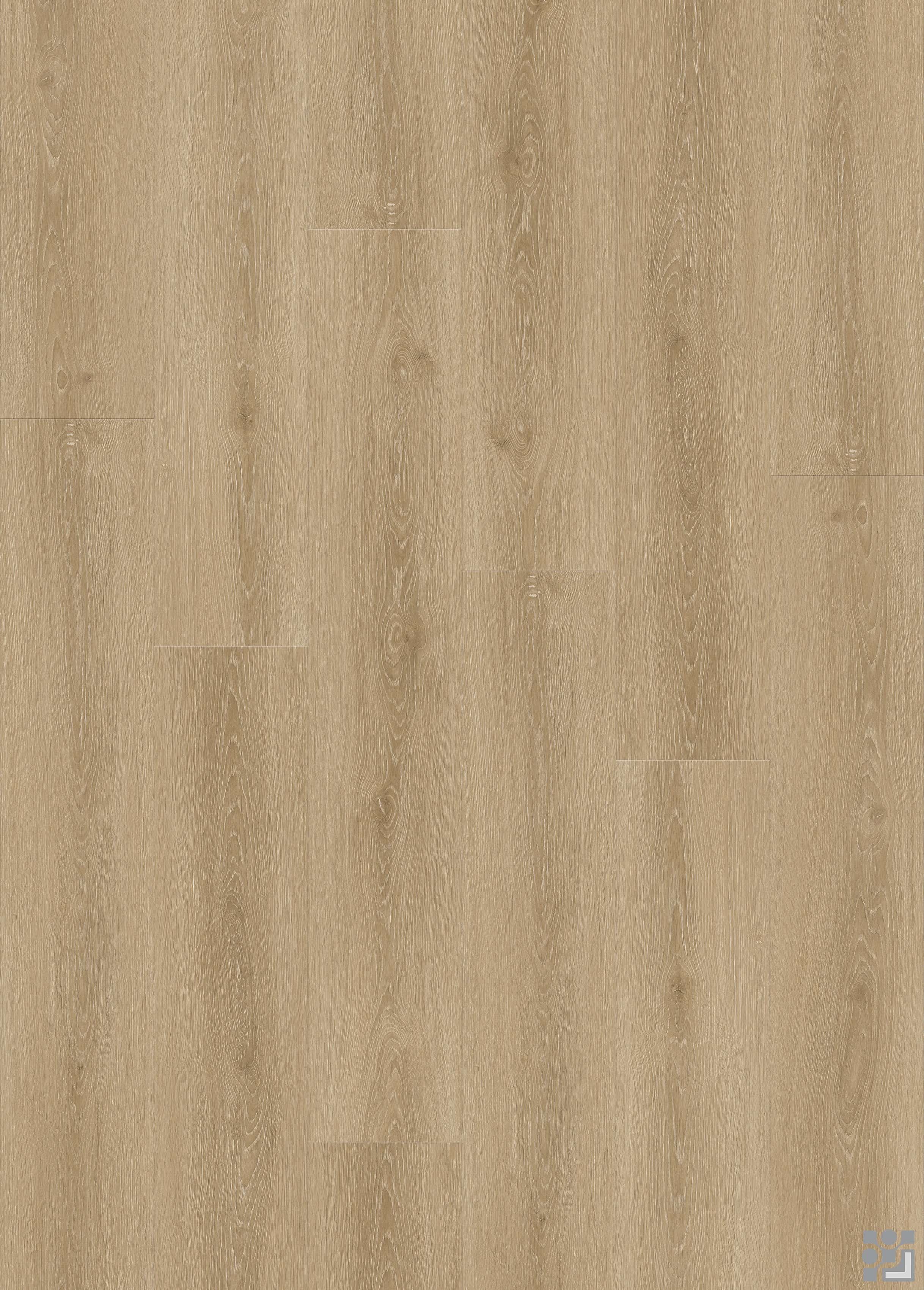 Cool taupe-grey Austen Oak flooring decorative paper with fine linear grain, elongated cathedral figures and subtle natural knots