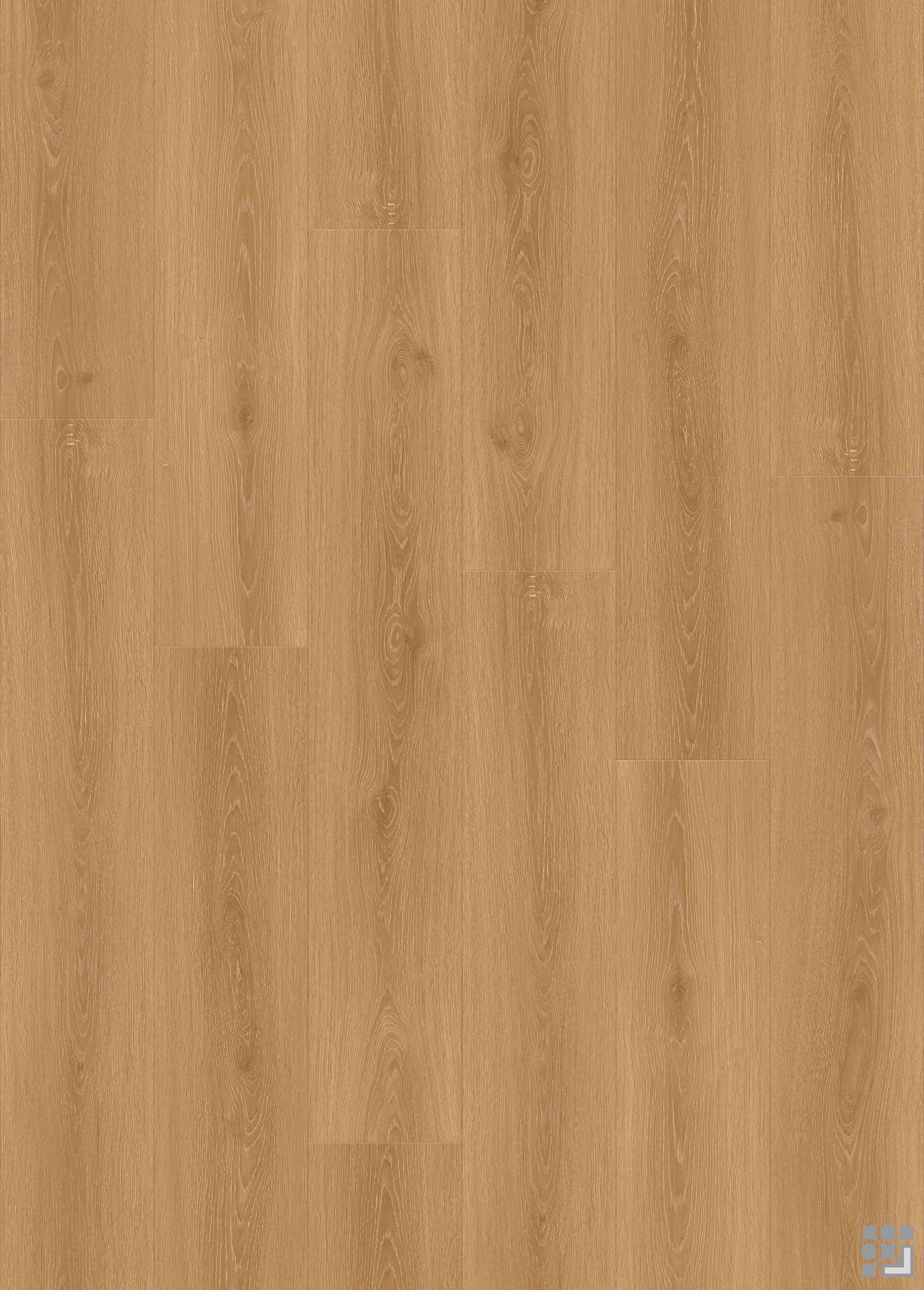 Cool taupe-grey Austen Oak flooring decorative paper with fine linear grain, elongated cathedral figures and subtle natural knots