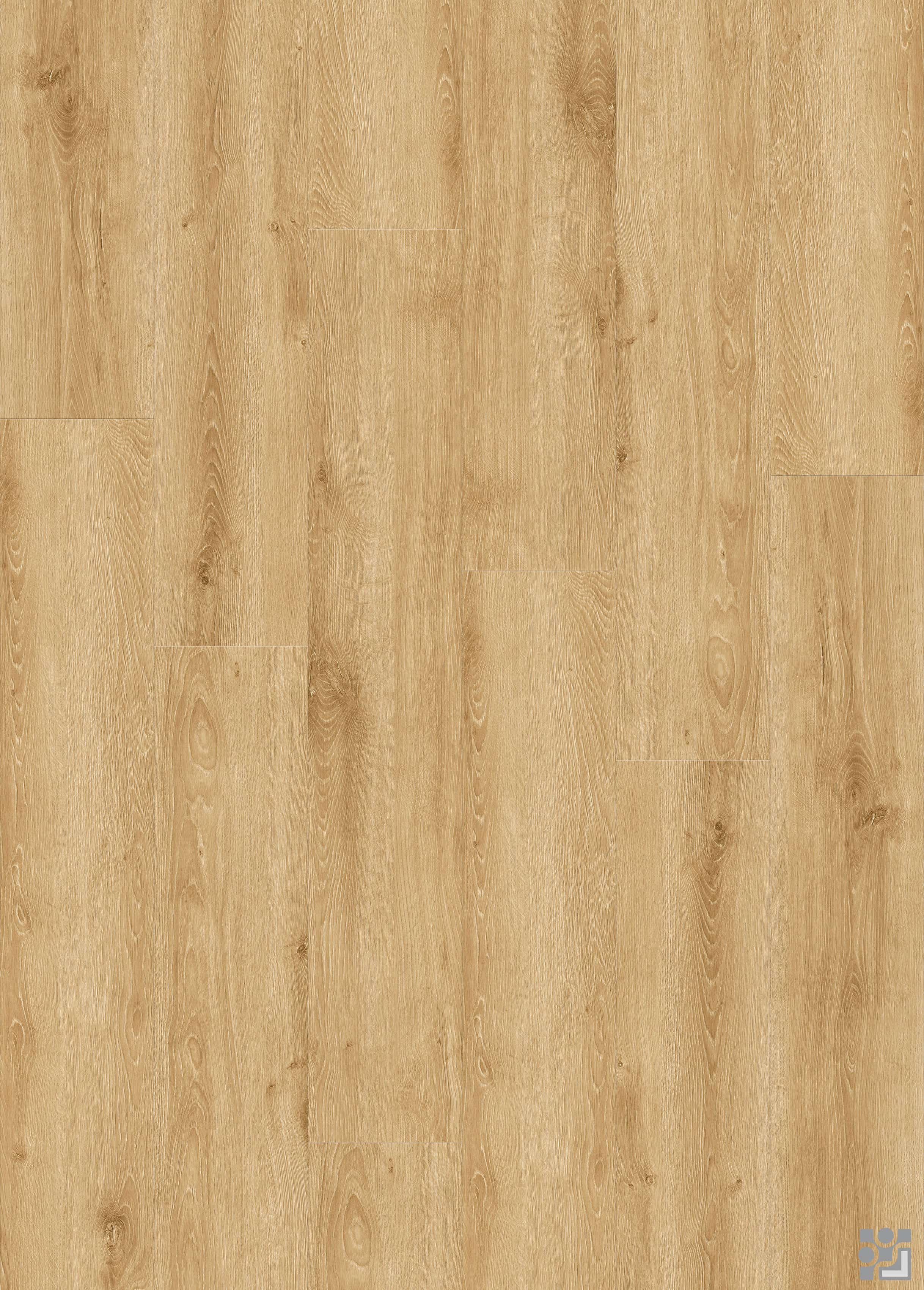 Pale honey-gold Fantacy Oak flooring decorative paper with delicate straight grain, soft cathedral figures and scattered natural knots