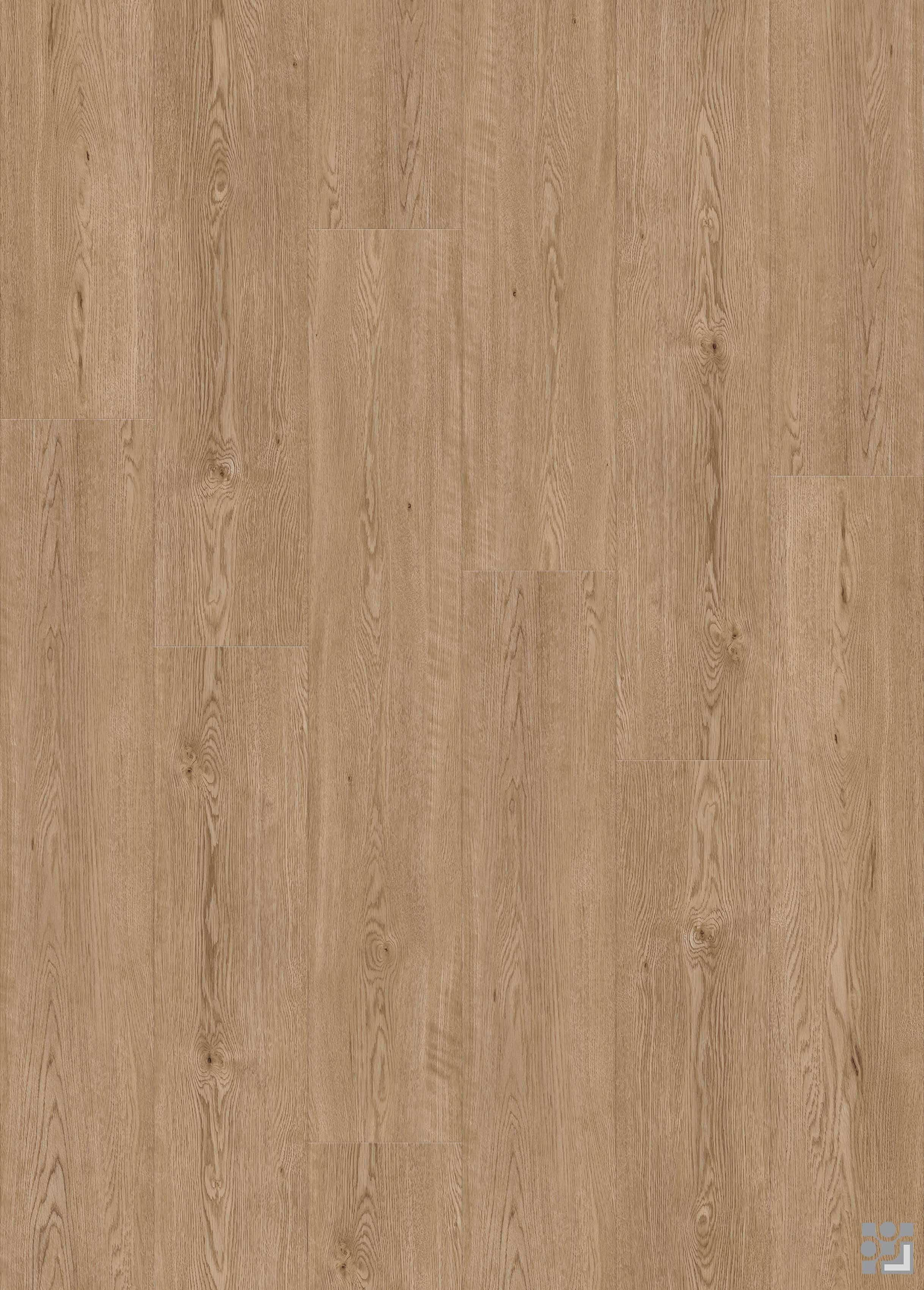 Warm taupe-brown Morante Oak flooring decorative paper with fine linear grain, slender cathedral figures, subtle knots and a clean long-plank layout
