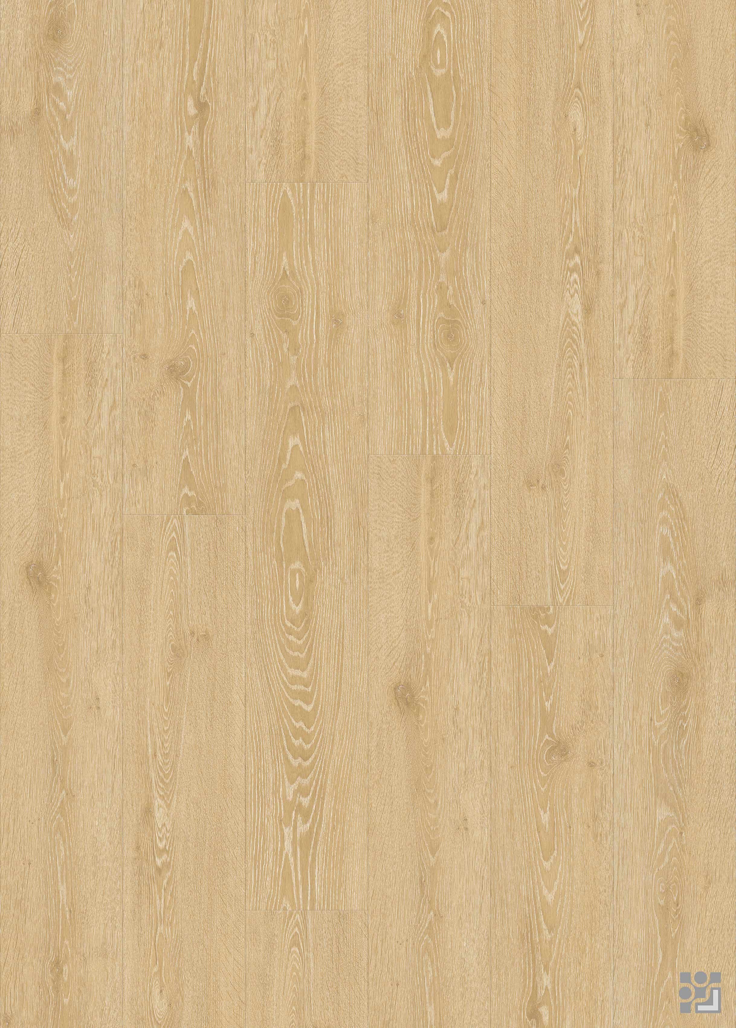 Charte Oak decorative flooring paper with defined cathedral grain, fine linear texture, subtle knots and a natural long-plank oak pattern